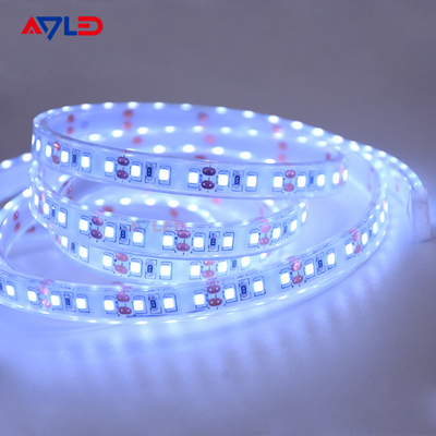 120 LED/m Seitlichter LED-Streifen ADS-D2835-120W-24