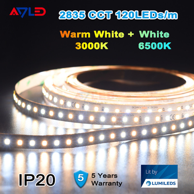 Dynamisches melodisches weißes LED-Streifen-Licht 12V imprägniern