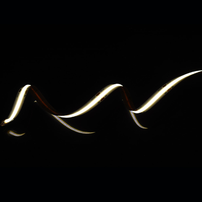 Aluminium-Panel Dot-frei COB LED-Streifen mit 528 LEDs auf 10mm Band und 2700K/6500K Farbe